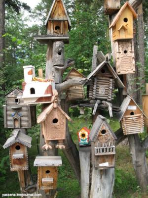 Прикрепленное изображение: orig.jpg